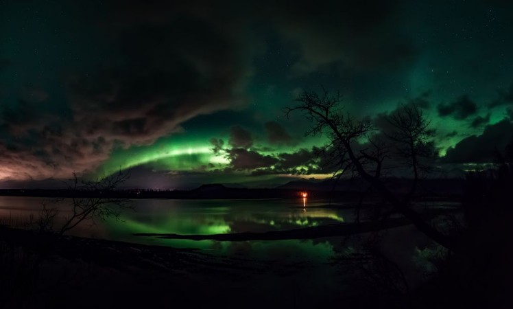 Afbeeldingen van So many obstacles