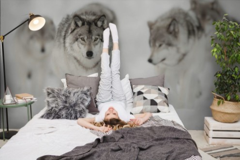 Picture of Ulveflokk på jakt