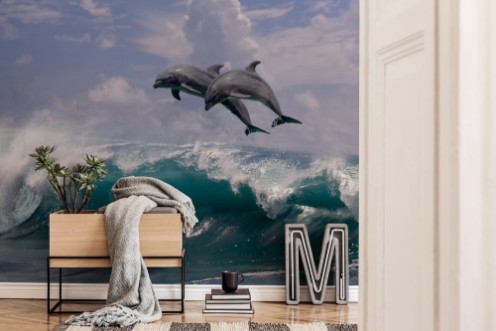 Image de Dolphin Surfers