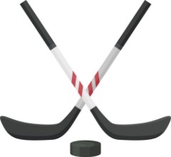 Poza cu Hockey stick and washer