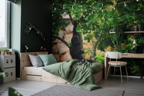 Picture of Young gorilla hanging on branch