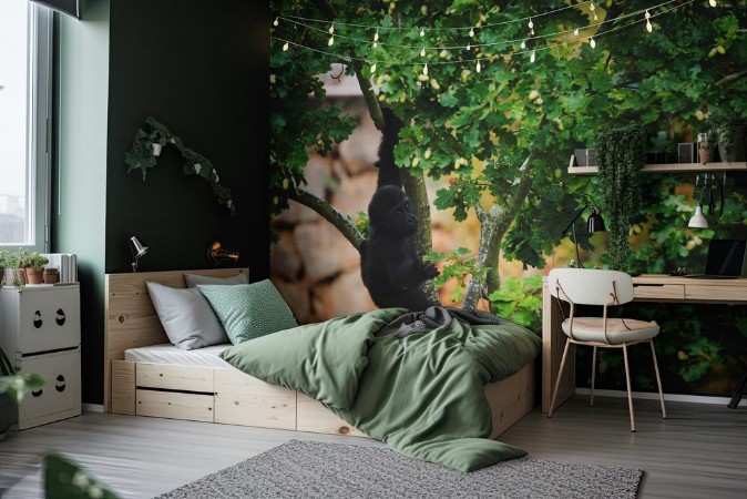 Picture of Young gorilla hanging on branch