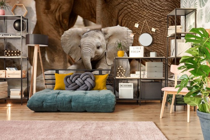 Bild på Baby Elephants Playing