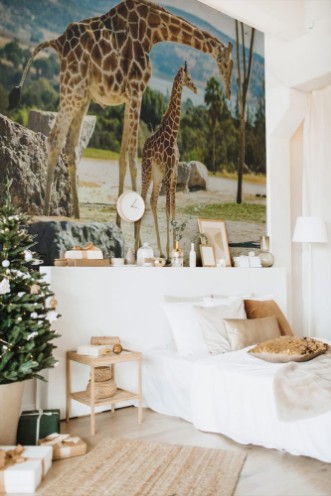 Picture of Giraffe family on a walk