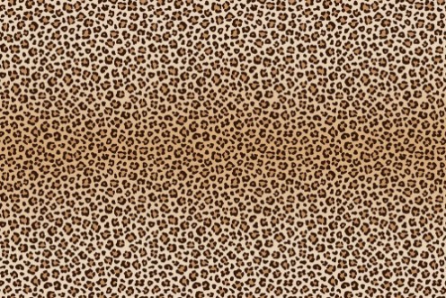 Afbeeldingen van Leopard Background