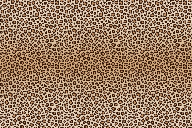 Image de Leopard Background