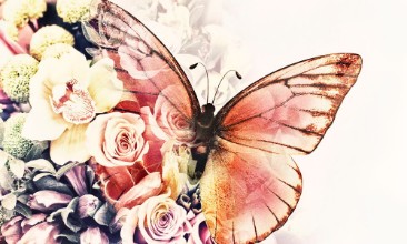 Butterfly with flowers paveikslėlis