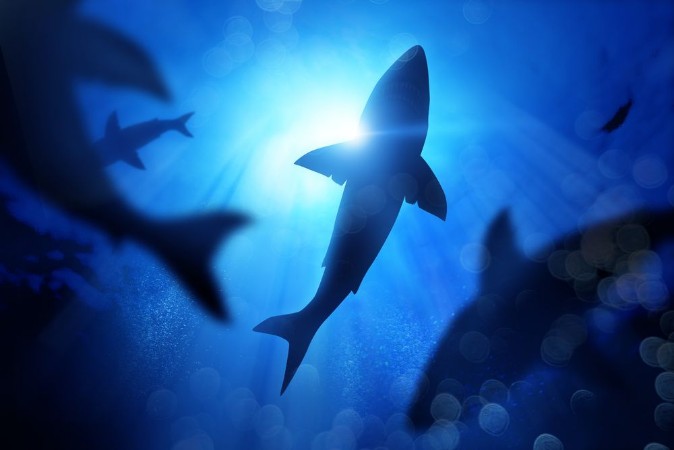 Picture of A school of sharks in the deep blue sea Mixed media illustration