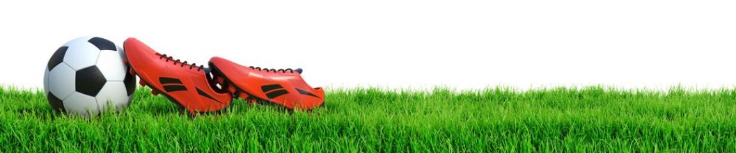 Picture of Fuball und Fuballschuhe auf Rasen Panorama isoliert weier Hintergrund 3D Rendering