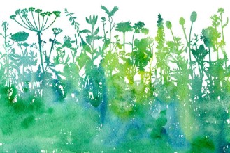 Imagen de Watercolour Flowers