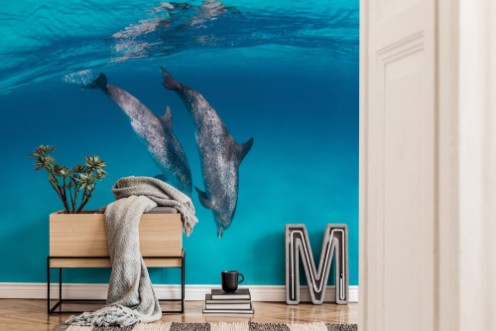 Afbeeldingen van Twin Dolphins