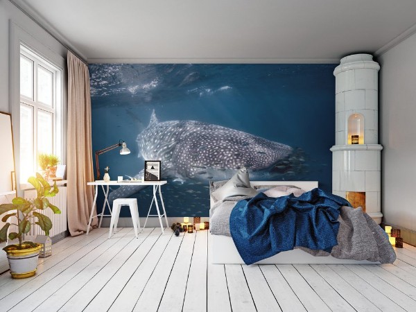 Picture of Whale Shark swimming over the Ningaloo Reef