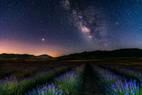Picture of Campos de lavanda bajo la Marte y la Va Lctea - Moratalla Murcia