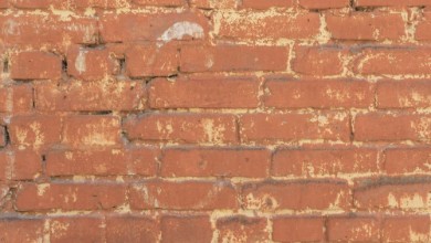 Picture of Aged red brick wall texture Aged red brick wall texture