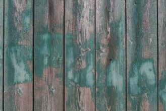 Picture of Gray and green weathered boards Natural background of wood