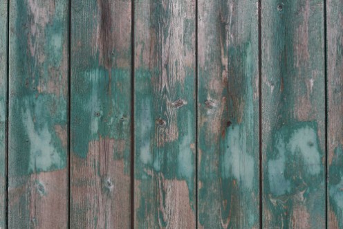 Image de Gray and green weathered boards Natural background of wood