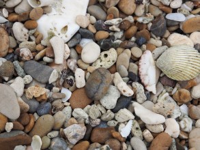 Obrazek Rock on the beach
