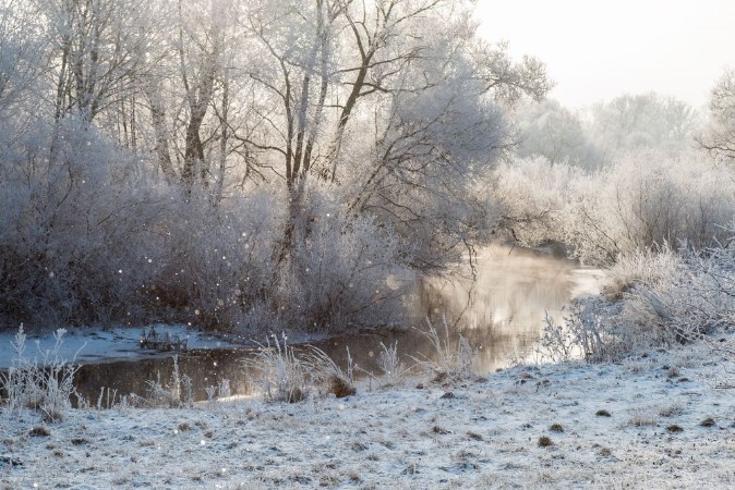 Bild på Winter landscape - frosty trees in sunny morning Tranquil winter nature in sunlight