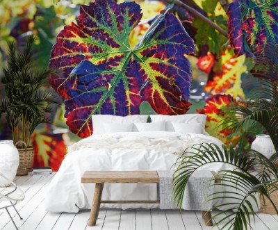 Afbeeldingen van Confliction