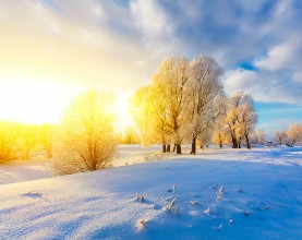 Afbeeldingen van Winter landscape Cold day