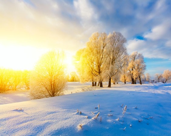 Bild på Winter landscape Cold day