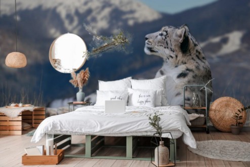 Afbeeldingen van Snow leopard lay on a rock against snow mountain landscape