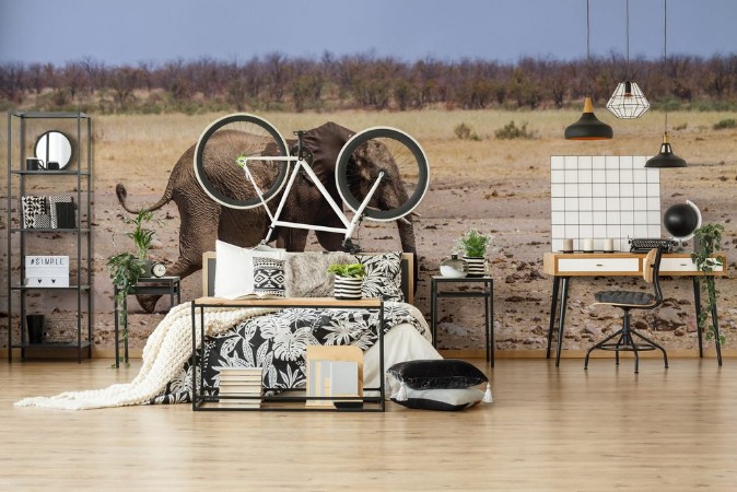 Bild på African bush elephant in Kruger National park South Africa  Specie Loxodonta africana family of Elephantidae