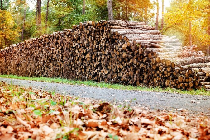 Picture of Tas de bois coup