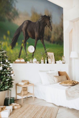 Afbeeldingen van Horse run gallop in green meadow