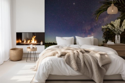 Picture of Milchstrae ber dem Okavango mit Palmen