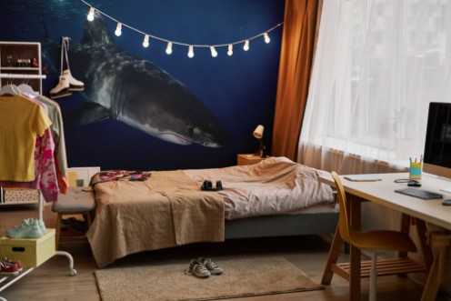 Picture of Great White Shark  in cage diving 