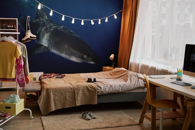 Picture of Great White Shark  in cage diving 