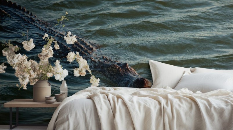 Picture of Alligator swimming in the lake Port Aransas Texas