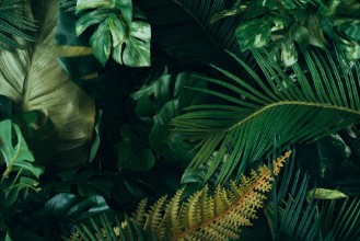 Obrázek Tropical Mix