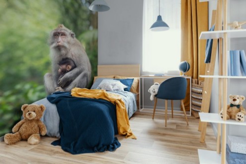 Picture of Monkey Mother