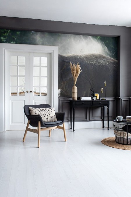 Afbeeldingen van Indischer Elefant bewirft sich mit Staub