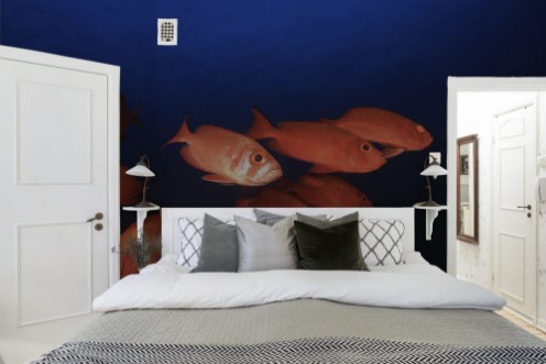 Bild på Coral reef and fish in ocean 