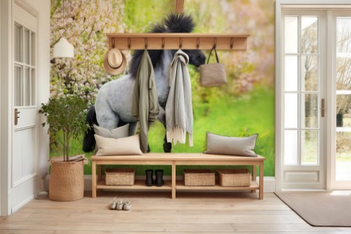 Afbeeldingen van Pony rearing up in spring pink blossom trees