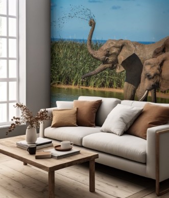 Afbeeldingen van Elephants herd at water hole South Africa