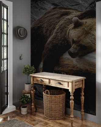 Picture of Brown Bear