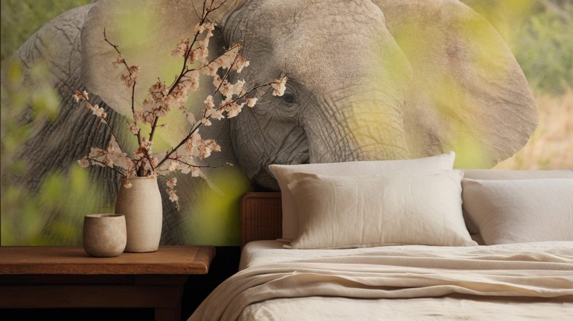 Afbeeldingen van Elephant eating in the bush