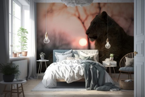 Picture of Male Lion sitting during Sunset