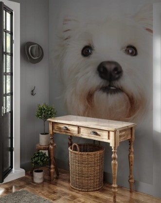 Image de A West highland white terrier Dog
