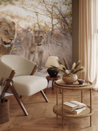 Picture of Lions mating couple in Etosha National Park in Namibia