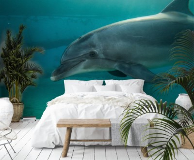 Afbeeldingen van Dolphin side view