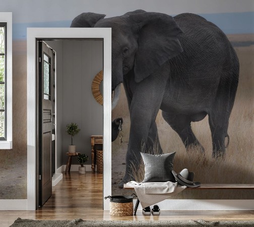 Afbeeldingen van Elephant in savannah