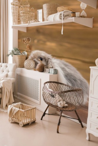 Bild på Rabbit on wooden background Empty space for text