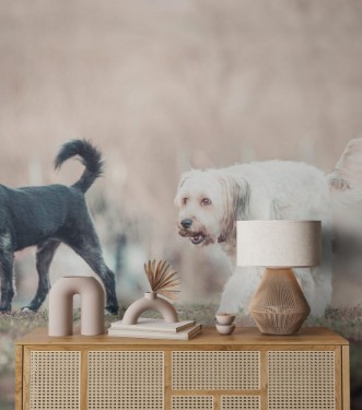 Picture of Happy adopted dog playing in the garden 