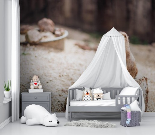 Afbeeldingen van Prairie dog standing upright on the ground Summer