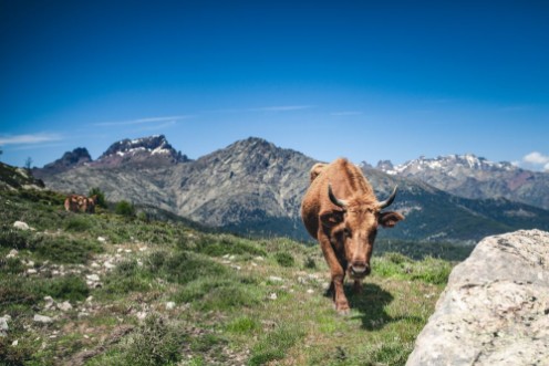 Bild på Khe in den Bergen